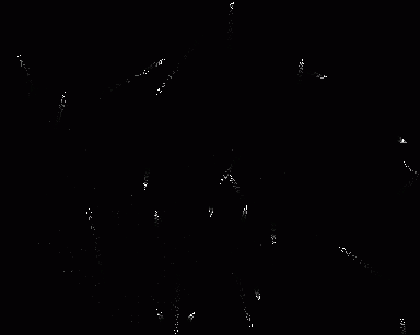 Click on the thumbnail to see the full image